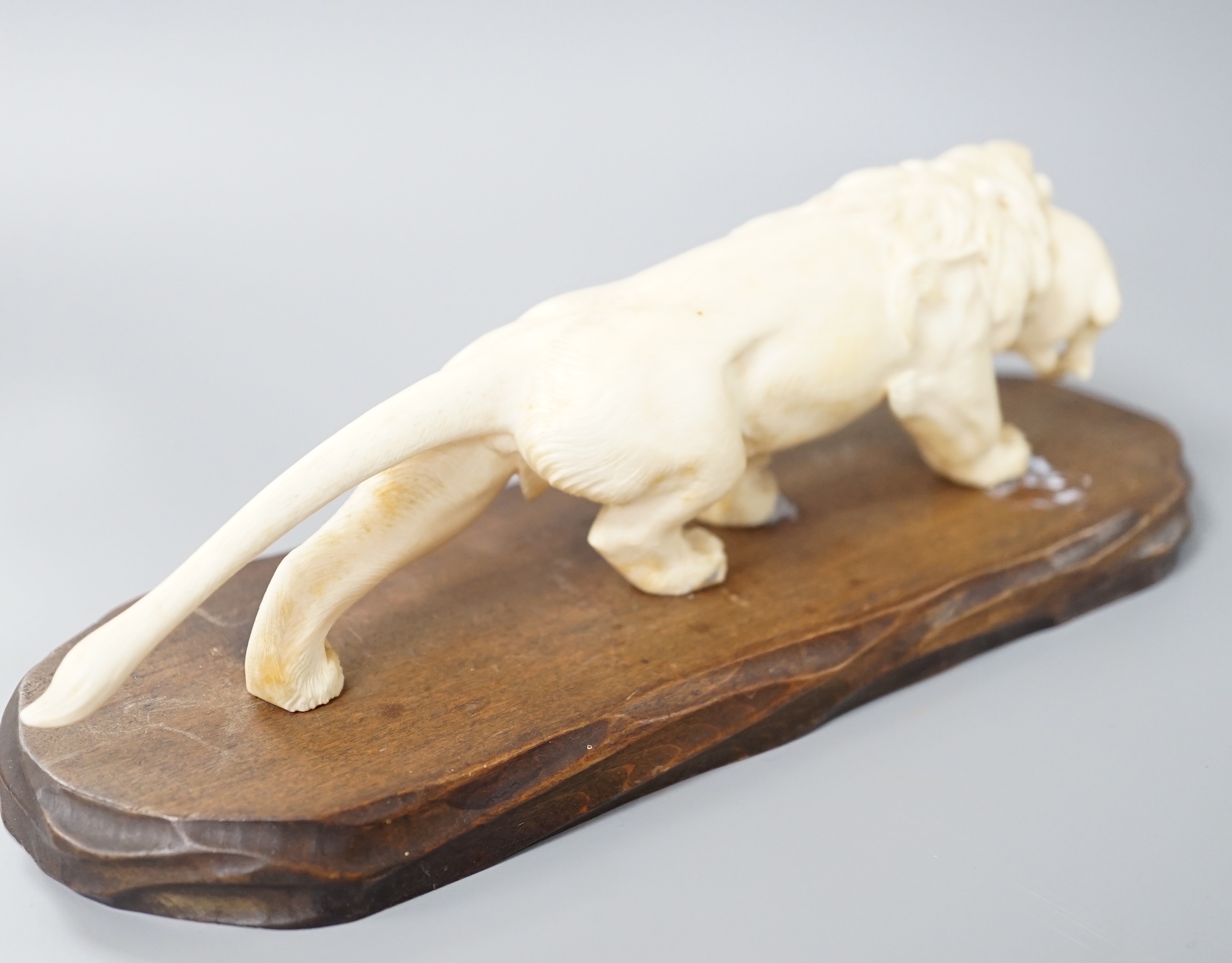 A Japanese ivory group of a lion grasping a hare in its mouth, wood stand, Meiji period, together with a similar figure of a water buffalo (2) largest 22cm